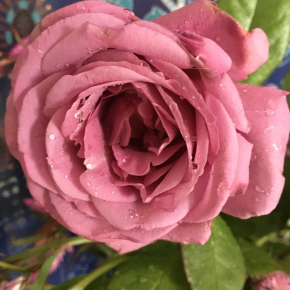 ⏰🤍🖤Ariana Grande CD single(2pcs) plus more! - Picture 11 of 11